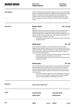 Odaberite predložak Wisconsin i napravite profesionalan CV